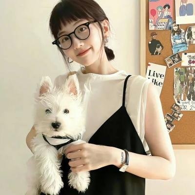 孤鸟罗宾