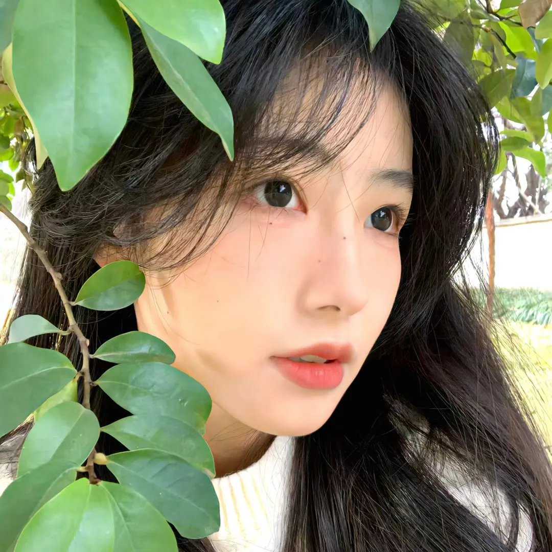 决不低头